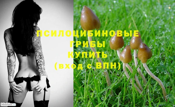 mix Алексин